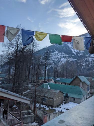 Locals Hostel