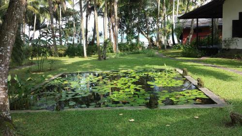 Lodge Kuda Laut Resort
