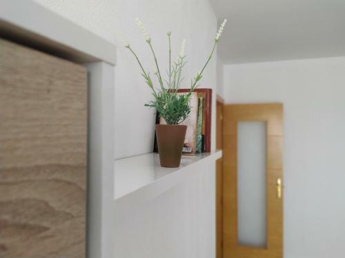 Apartamentos "el Barco"