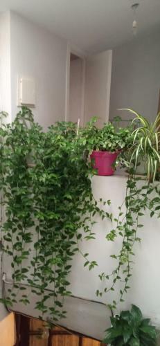 Apartamento �tico