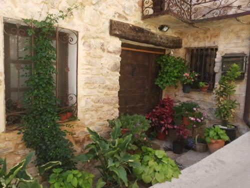 Refugio De Oc�n