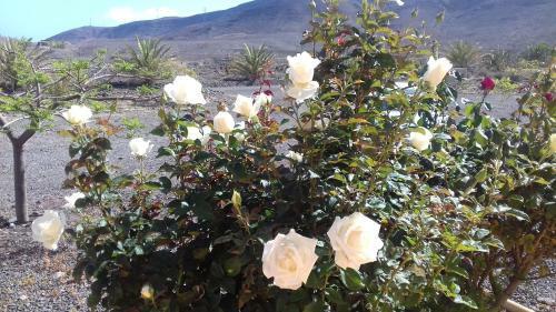Agroturismo Finca Los Rosales