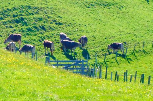 Apartamento M�hlenhof