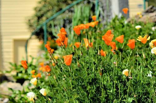 St. Pauls Bed & Breakfast