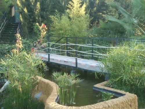 Agroturismo Caba�as de Madera Y Bungalows - Gilma�as 3