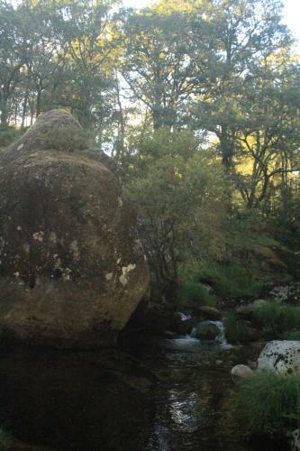 O Xard�n Da Fraga