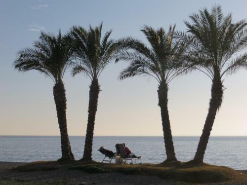 Apartamento Opazo Beach View