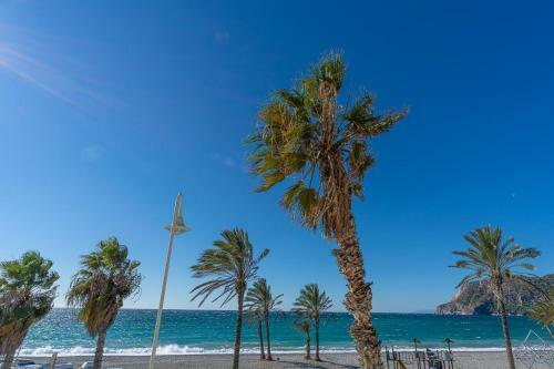 Apartamento Shore Thing Playa