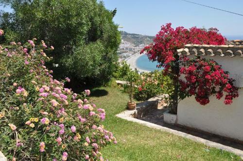 Casa Hortensia