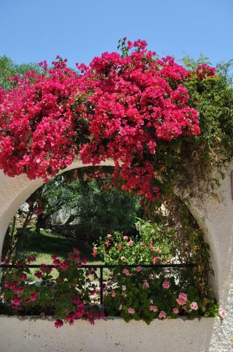 Casa Hortensia