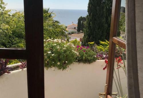 Villa Tropical