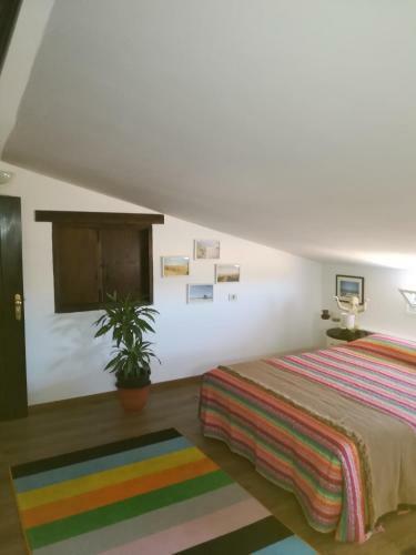 Casa Papi