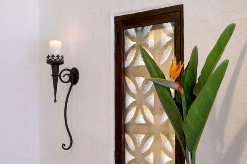 Apartamento Ferienwohnung Finca Monica