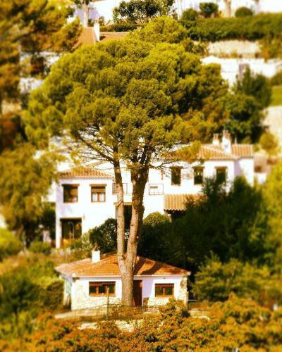 Olmedilla