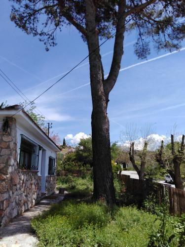 Olmedilla