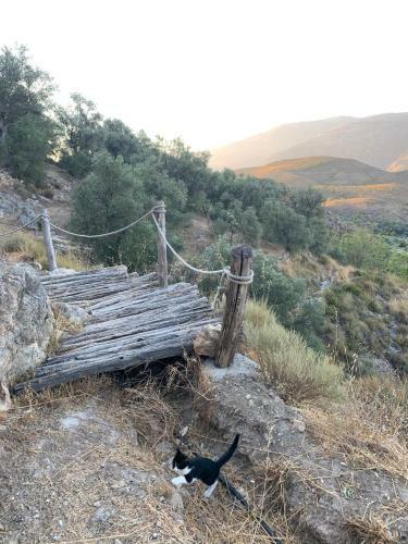 Cortijo Samadhi