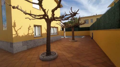Sant Briu