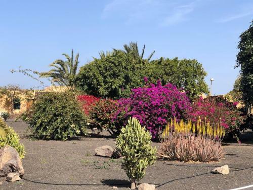 Villa Serena