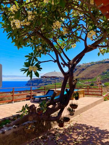 Rinc�n Del Mar , Espacio Natural