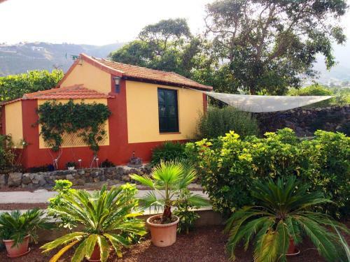 Finca La Plantaci�n _agroturismo