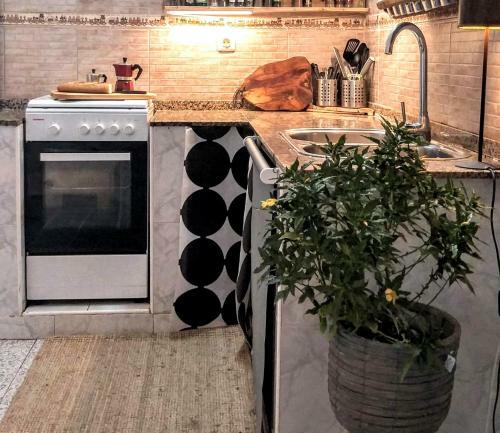 Apartamento Sunny Cottage