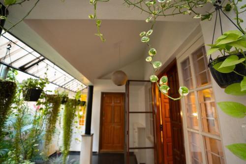 Luho (luxury Homes)