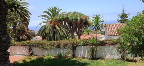 Apartamento Studio-apartment Sabine