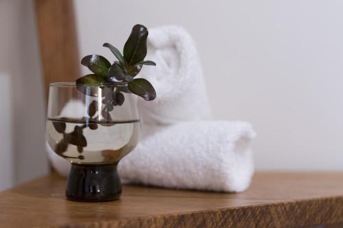 Bed & Breakfast Tuck Inn