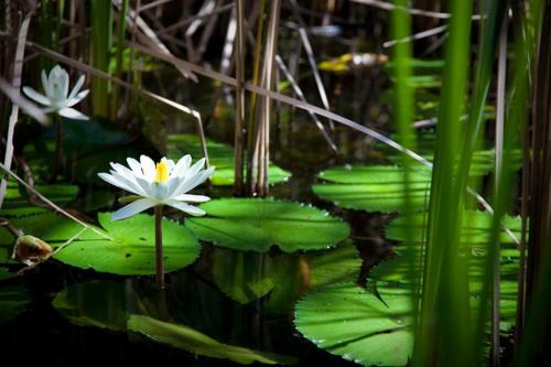 Dunk Island View Caravan Park