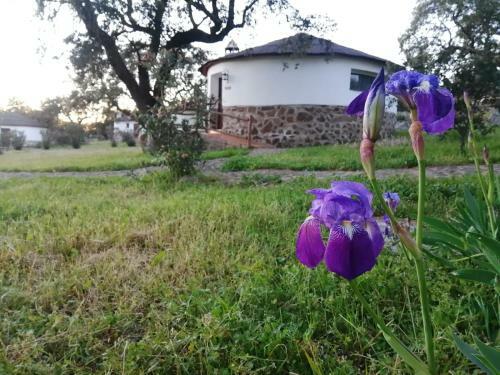 Apartamento Chozos De La Dehesa