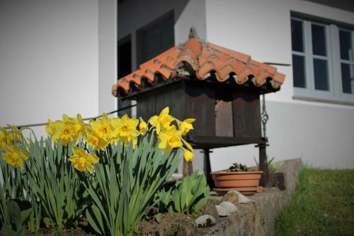 Casa Amable