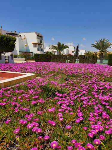 Apartamento Duplex Espectacular En Primera L�nea Naturista!