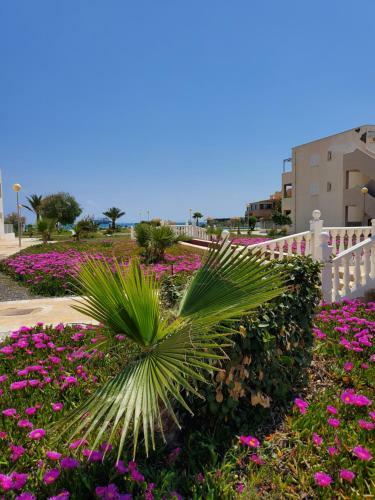 Apartamento Duplex Espectacular En Primera L�nea Naturista!