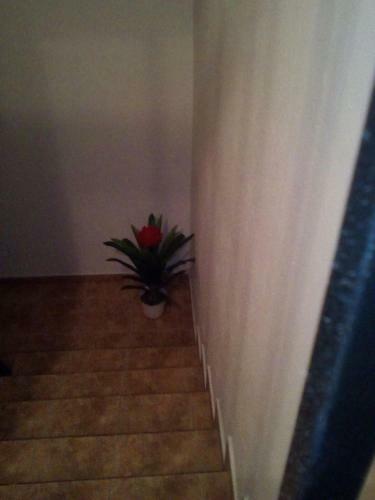 Apartamento Veronica