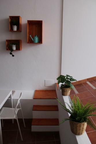 Apartamento Loft Pinope