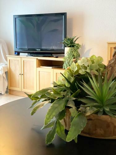 Apartamento La Playa de La Pineda 50m Del Mar