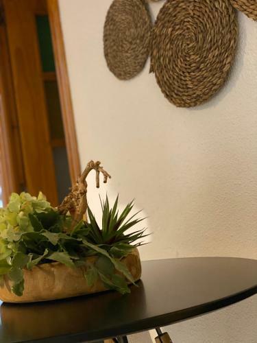 Apartamento La Playa de La Pineda 50m Del Mar