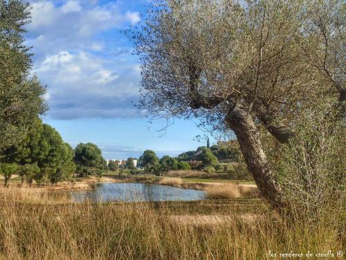 Apartamento Playa Y Golf La Pineda