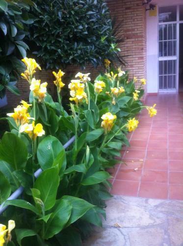 Apartamento La Pineda Beach