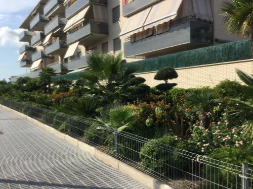 Apartamento Los Olivos
