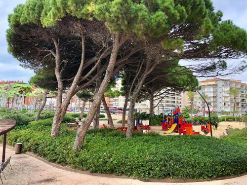 Apartamento Pineda Beach 1a L�nea de Mar & Parking