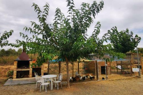 Summer House Tgn Rural