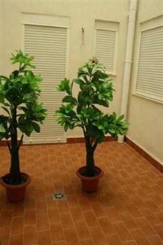 Apartamento Columbretes