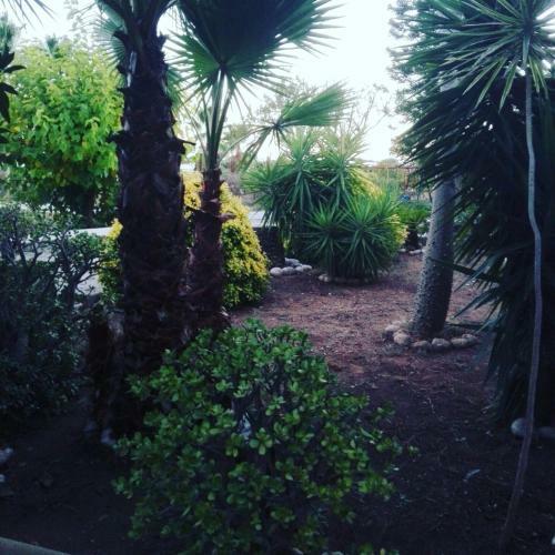 Villa G�mez