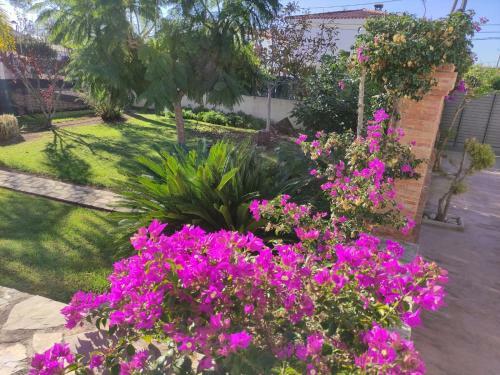 Villa Parets de Sucre
