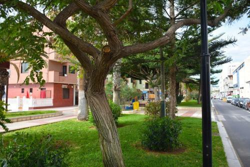 Apartamento Lovely Studia In Las Galletas Con Nice Sea View