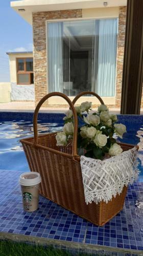 Oasis Chalet