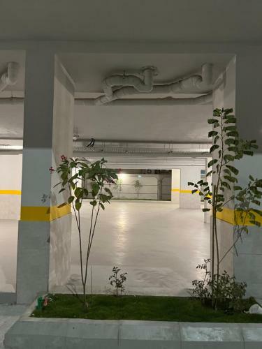 Apartamento ???? ?????? ??????