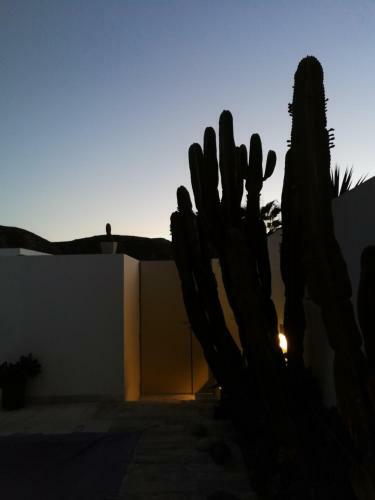 Casa Euphorbia