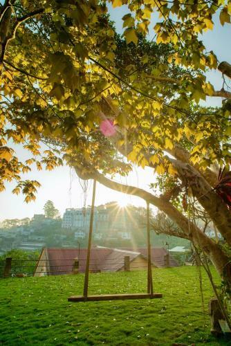 Hotel The Bloom Dalat